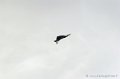 mirage2000_237