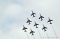 paf_273