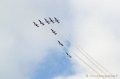 paf_286
