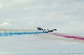 paf_290