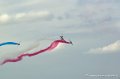 paf_293