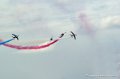 paf_294