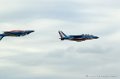 paf_299
