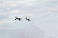 paf_301