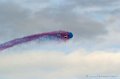 paf_308