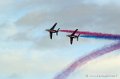 paf_309