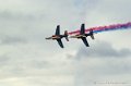 paf_310