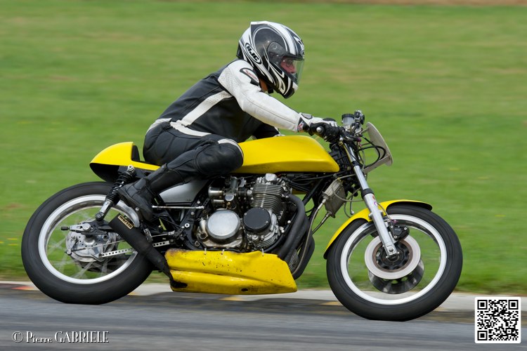 coyotes-2014-solo_5038.jpg