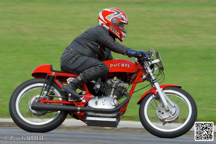 coyotes-2014-solo_5050.jpg