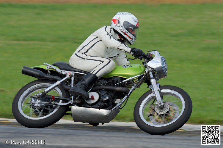 coyotes-2014-solo_5225.jpg