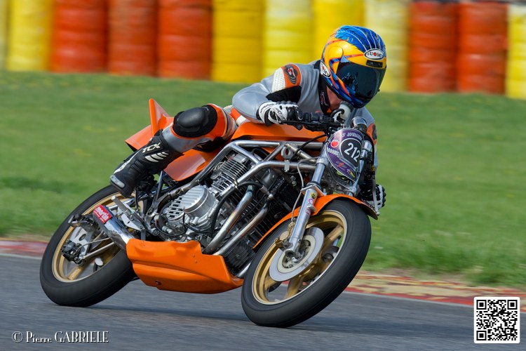coyotes-2014-solo_5264.jpg