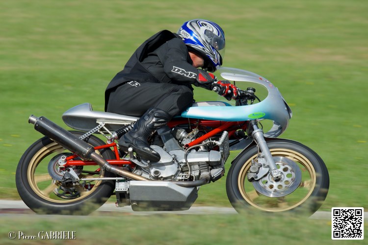 coyotes-2014-solo_5273.jpg