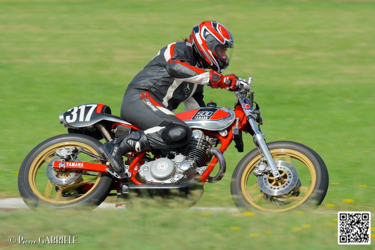 coyotes-2014-solo_5307.jpg