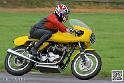 coyotes-2014-solo_5074
