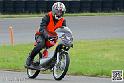 coyotes-2014-solo_5090