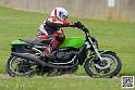 coyotes-2014-solo_5099