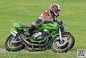 coyotes-2014-solo_5100