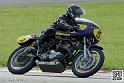 coyotes-2014-solo_5211