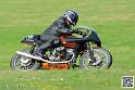 coyotes-2014-solo_5214