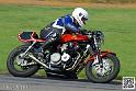 coyotes-2014-solo_5251