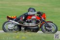 coyotes-2014-solo_5265