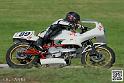 coyotes-2014-solo_5275