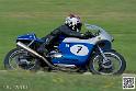 coyotes-2014-solo_5288