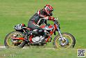 coyotes-2014-solo_5307