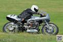 coyotes-2014-solo_5308