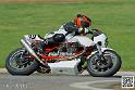 coyotes-2014-solo_5314