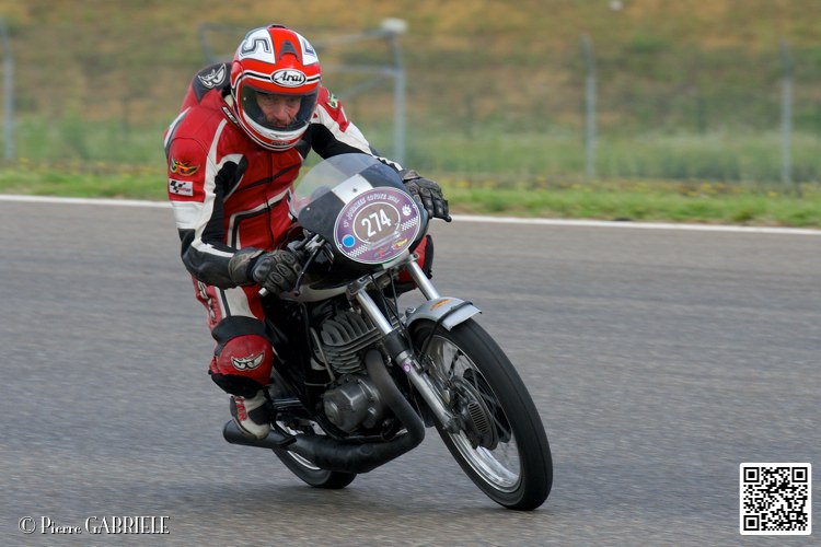 coyotes-2014-solo_4336.jpg