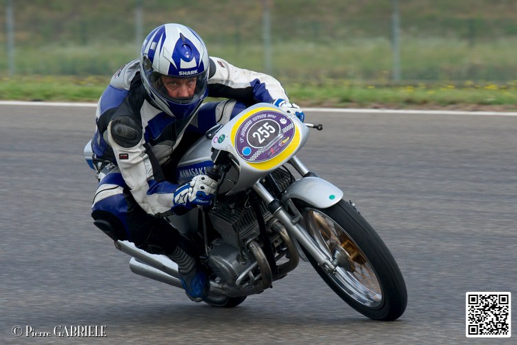 coyotes-2014-solo_4345.jpg