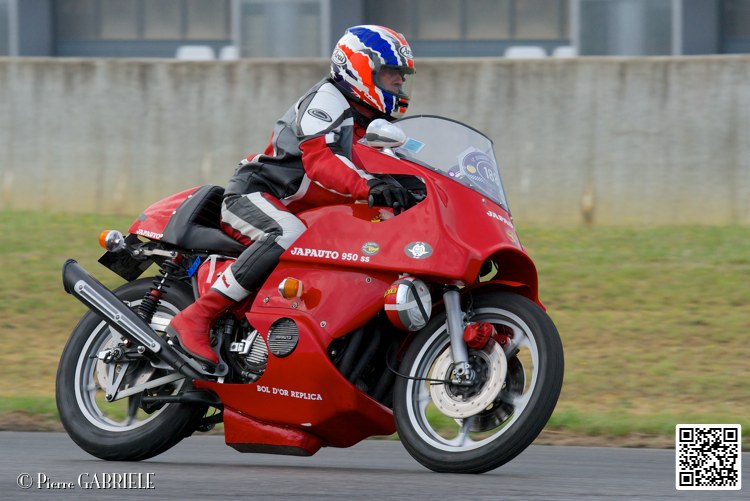 coyotes-2014-solo_4375.jpg