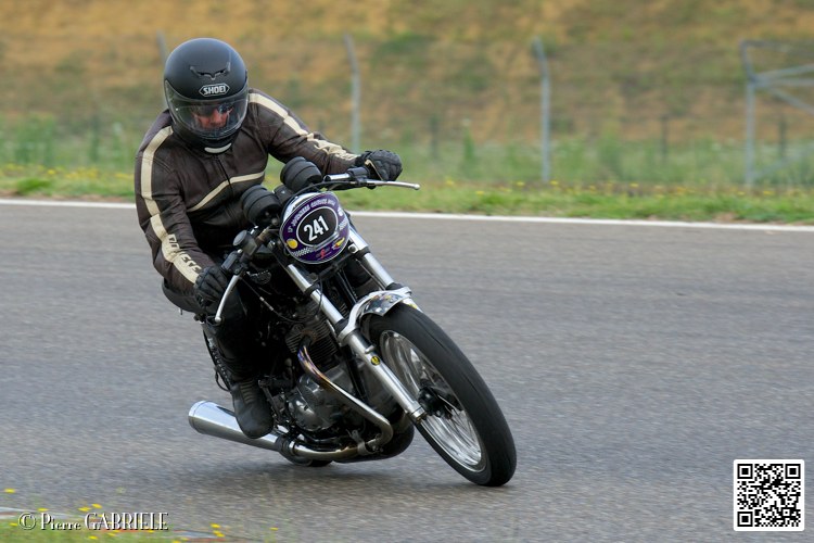 coyotes-2014-solo_4400.jpg