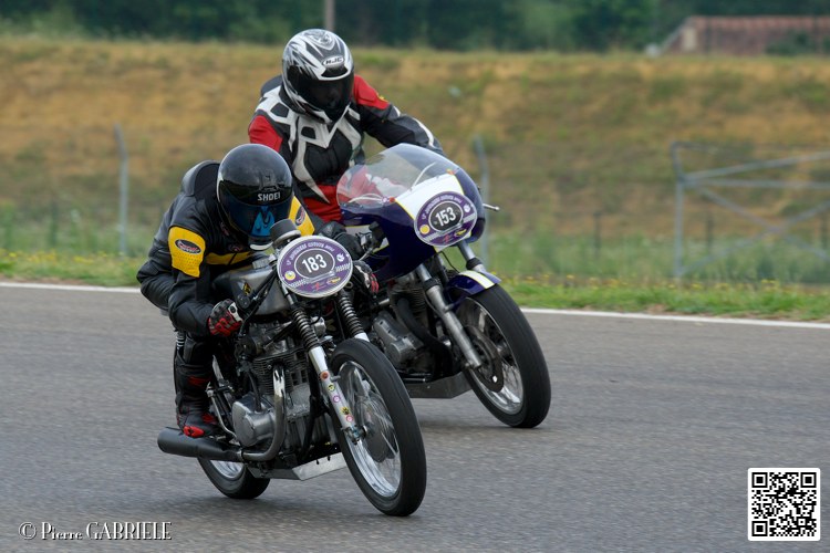 coyotes-2014-solo_4423.jpg