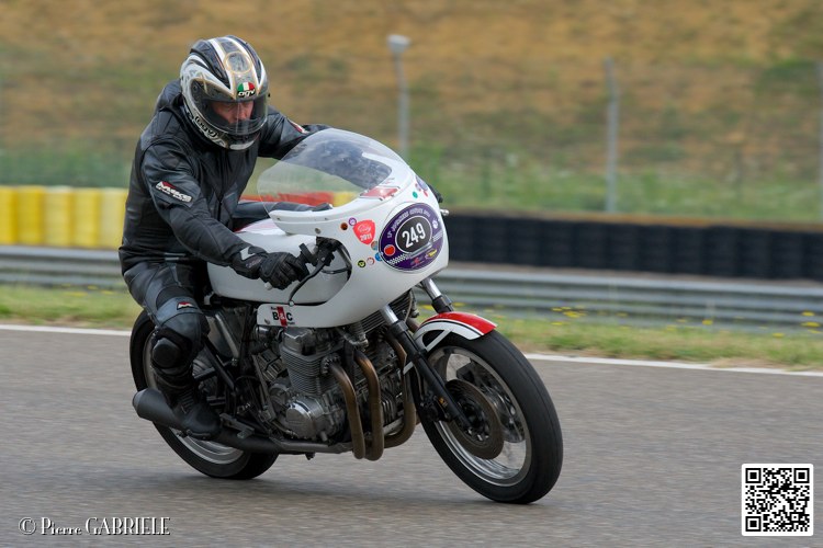 coyotes-2014-solo_4479.jpg