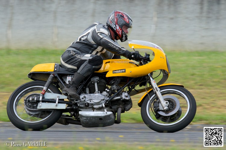 coyotes-2014-solo_4488.jpg