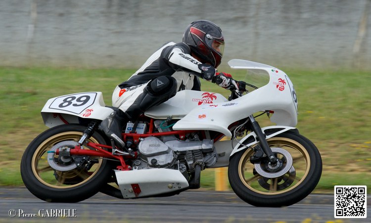 coyotes-2014-solo_4490.jpg