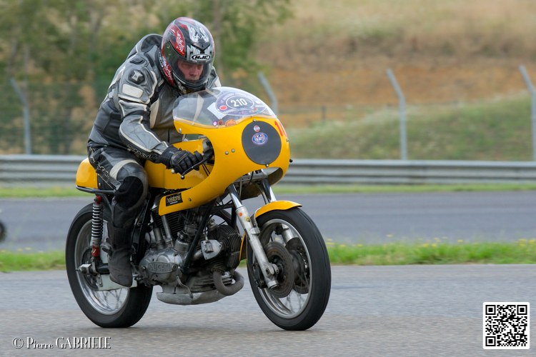 coyotes-2014-solo_4514.jpg