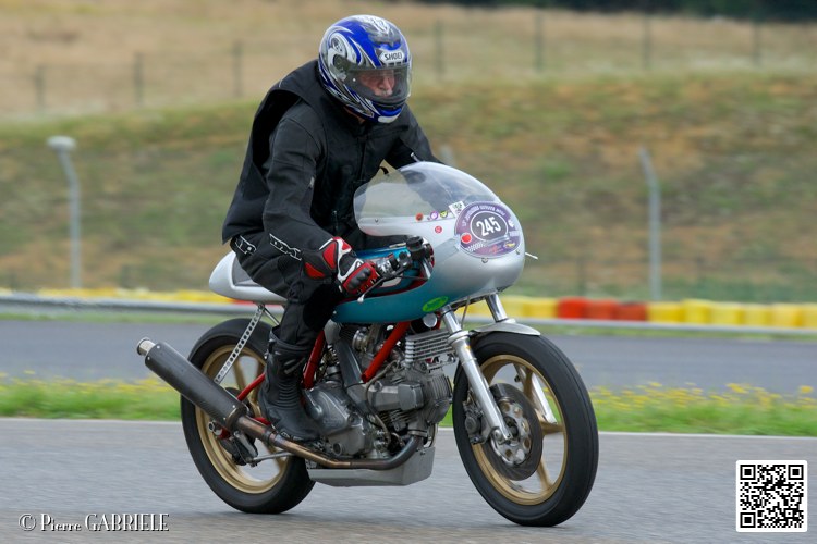coyotes-2014-solo_4516.jpg