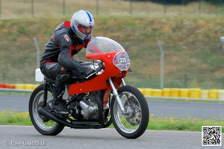 coyotes-2014-solo_4517.jpg