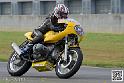 coyotes-2014-solo_4371
