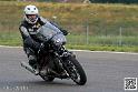 coyotes-2014-solo_4378