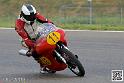 coyotes-2014-solo_4379