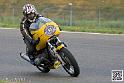 coyotes-2014-solo_4380