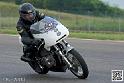 coyotes-2014-solo_4384