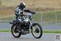coyotes-2014-solo_4515