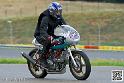 coyotes-2014-solo_4516
