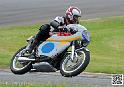 coyotes-2014-solo_4665