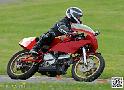 coyotes-2014-solo_4668